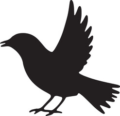 vector illustration of a bird