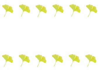 イチョウの壁紙
