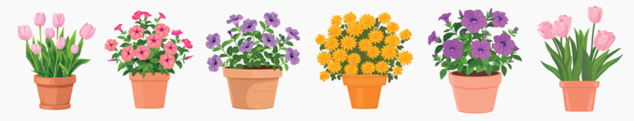 Colorful potted flowers illustration, isolated vector set