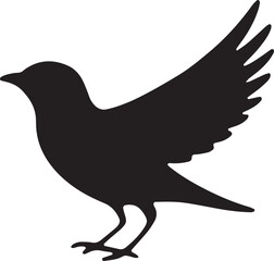 vector illustration of a bird