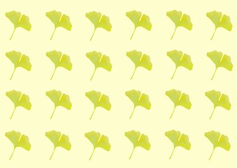 イチョウの壁紙