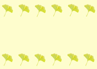 イチョウの壁紙