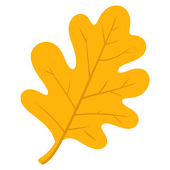 Obraz premium Yellow rounded oak leaf illustration autumn fall vector