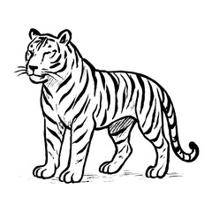 Naklejka premium Elegant tiger ink drawing vector