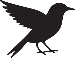 vector illustration of a bird
