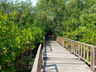 wooden bridge in the park