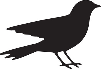 silhouette of a bird