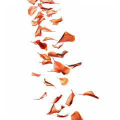 Obraz premium Falling, vibrant orange-brown leaves against white