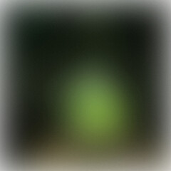 Abstract Depiction of a Faded Emerald Forest with Dim, Unclear Boundaries, Creating an Enigmatic...
