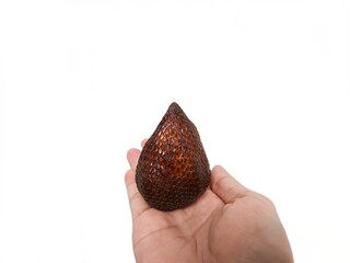 Hand holding fresh salak fruit (snake fruit) isolated on white background. Perfect for food...