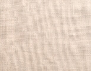 Beige natural fabric surface texture