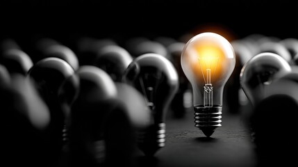 A single lit bulb stands out among many dark ones