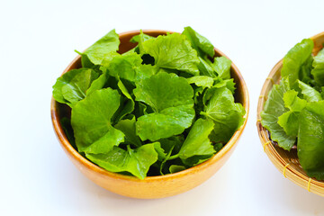 Gotu kola, fresh green leaves