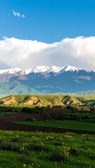 Obraz premium Mountainous landscape with wildflowers
