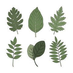 Collection of diverse green foliage illustrations and botanical plant elements