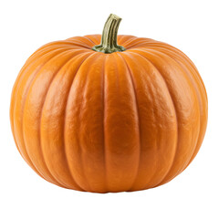 Obraz premium Smooth Orange Pumpkin with a Thick Green Stem Displaying Ribbed Texture.