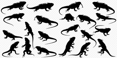 A collection of black iguana silhouettes in various dynamic poses, isolated on a transparent background.