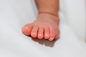 Foots of infant during sleep looking cute and cuddly.