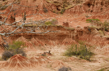 tatacoa colombian dissert