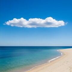 Obraz premium tropical beach with blue sky