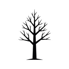 Obraz premium Bare tree silhouette vector illustration winter branching nature graphic isolated black outline