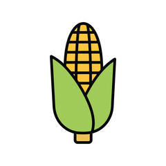 Fresh corn cob illustration sweet vegetable organic food harvest season healthy eating