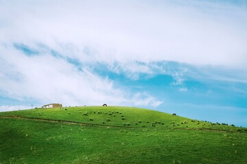Grassland Herders Under Clear Blue Sky On Expansive Prairie