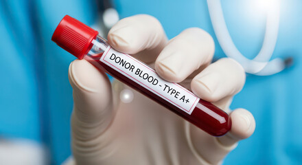 Naklejka premium Close up of medical professional holding a blood sample tube for laboratory testing and analysis