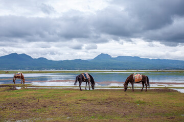Breathtaking Natural Landscape Of Lashi Lake Surrounded By Mountains In Yunnan