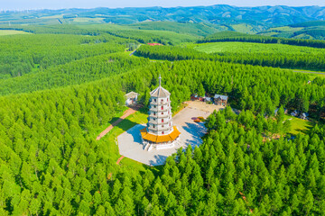 Aerial View Of Historic Tower Building Among Vast Forest Canopy Panorama