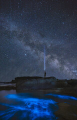 Nighttime Ocean Beach With Rocky Shore And Blue Tears Bioluminescence Under Milky Way