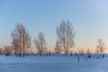 Northeast China Wilderness At Dusk With Soft Evening Light