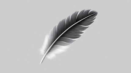 Elegant black and white feather on a soft gray background.