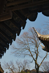Beautiful ancient Chinese architecture showcasing intricate roof decorations amidst the trees