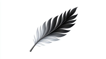 Fototapeta premium Elegant monochrome feather showcasing intricate details and smooth gradients.