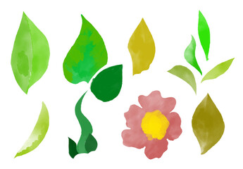 Collection of Hand-Painted Watercolor Floral Elements: Green Leaves in Various Shapes and Shades, a Pink Flower with a Yellow Center, Creating a Fresh and Natural Botanical Set for Design and Decorati