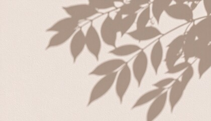 Abstract leaf shadows on white wall, soft minimal texture