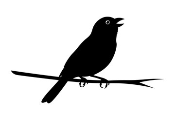 Singing bird on a branch vector silhouette