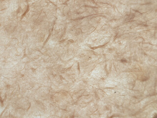 和紙、背景、テクスチャ、素材	