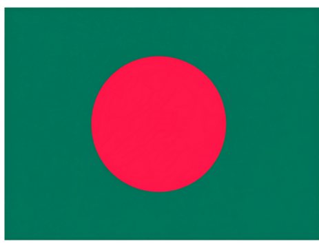 Bangladesh National Flag Illustration PNG