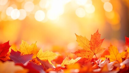 Obraz premium Warm Autumn Leaves Abstract Texture Background