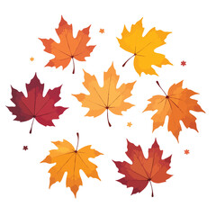 Colorful maple leaves in different shades of autumn float against a clean white backdrop Great for seasonal backgrounds and designs.