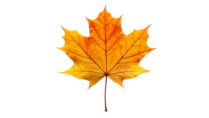 An abstract image of a swirling vortex of vibrant paint and light, capturing a sense of dynamic motion and cosmic energy
motion, energy