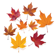 Fototapeta premium Group of maple leaves with autumnal colors on a white background evoking a season of change Perfect for seasonal design projects.