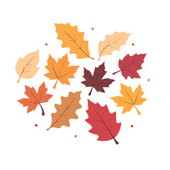 Various autumnal leaves are scattered against a white backdrop, creating a seasonal and natural feel perfect for autumn themed designs.