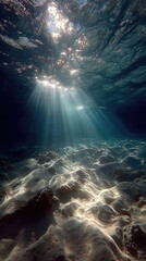 Obraz premium Sunbeams pierce underwater landscape