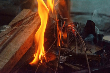 fogata fuego bosque