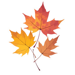Fototapeta premium Three maple leaves are illustrated in a watercolor style, showing the essence of autumn with their vibrant colors Perfect for seasonal designs.