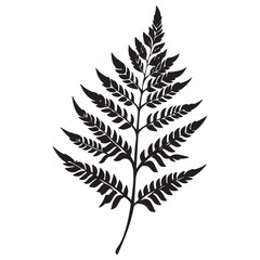 fern leaves logo vector silhouette illustration, fern leaf logo icon silhouette, bracken fern leaf silhouette vector illustration, black silhouette of a fern leaf on white background.