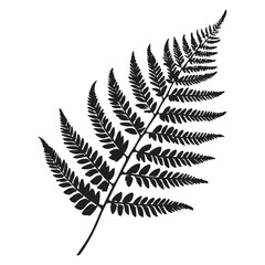 Naklejka premium fern leaves logo vector silhouette illustration, fern leaf logo icon silhouette, bracken fern leaf silhouette vector illustration, black silhouette of a fern leaf on white background.